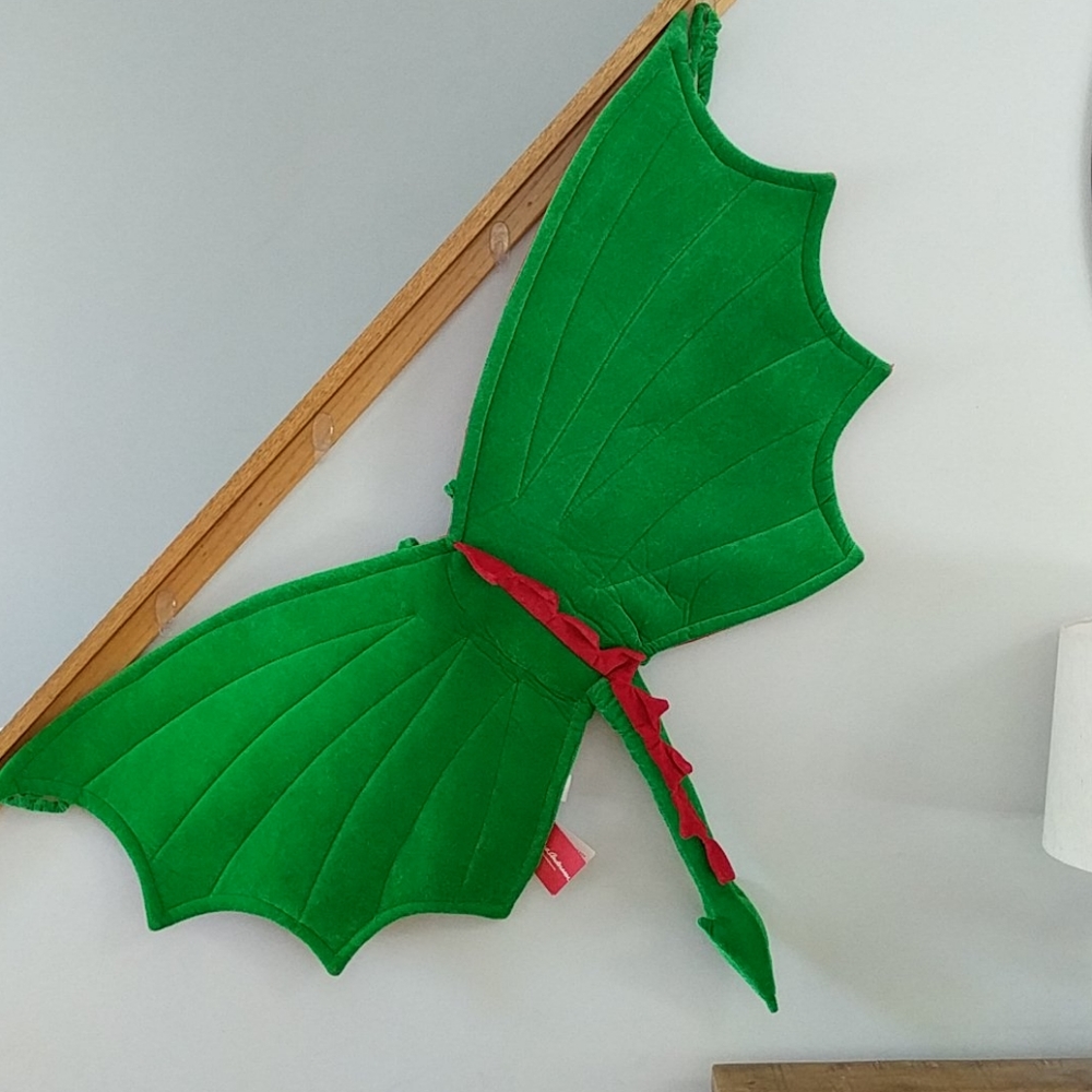 Hanna Andersson dragon wings